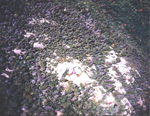 Au dessus de La L�gende